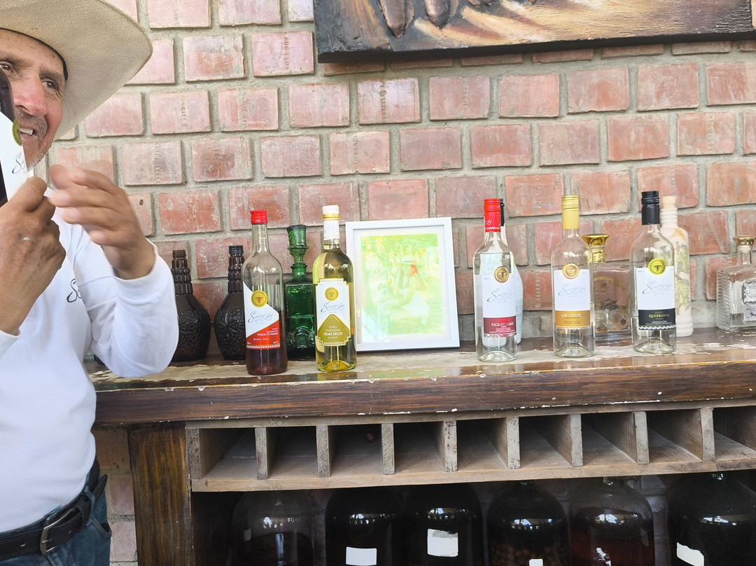Bodega Y Viñedo Sotelo-伊卡必去景点
