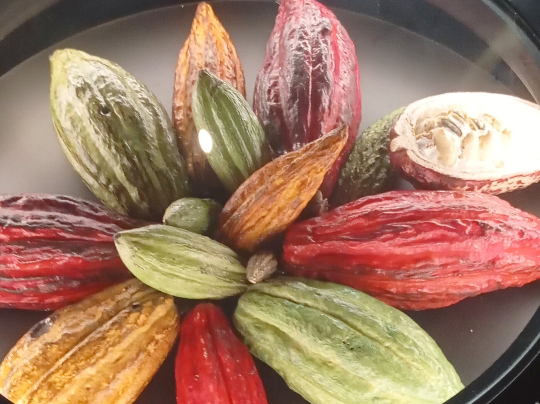 La Fabrique de Chocolat-La Bastide Clairence必去景点