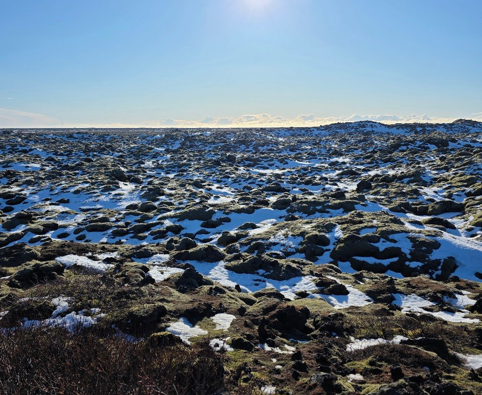 Eldhraun Lava Field