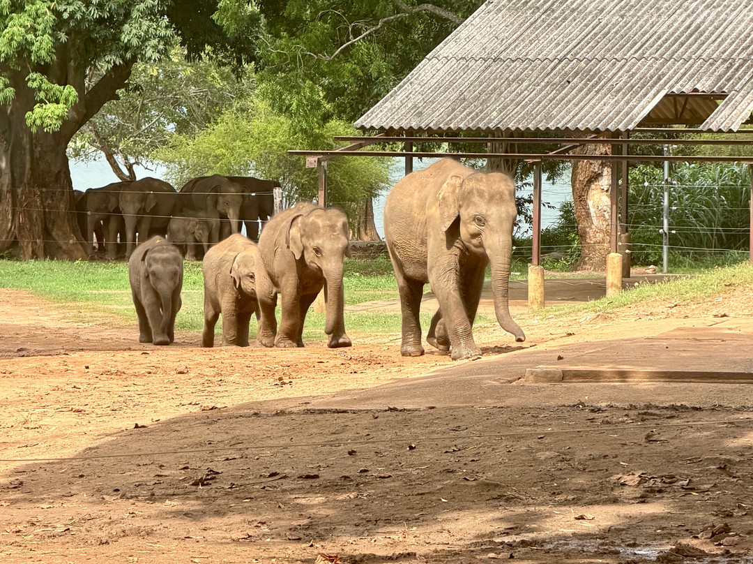 Elephant Transit Home (ETH)-乌达瓦拉维国家公园必去景点