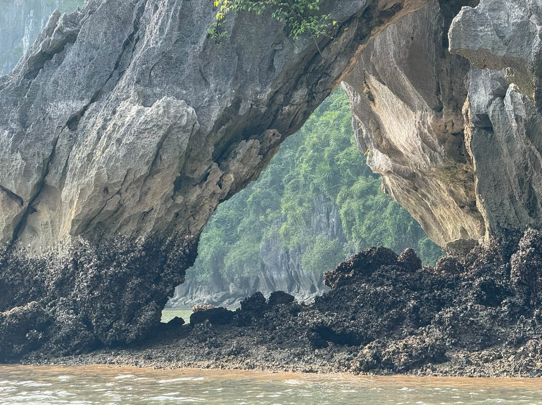 木头洞-下龙湾必去景点