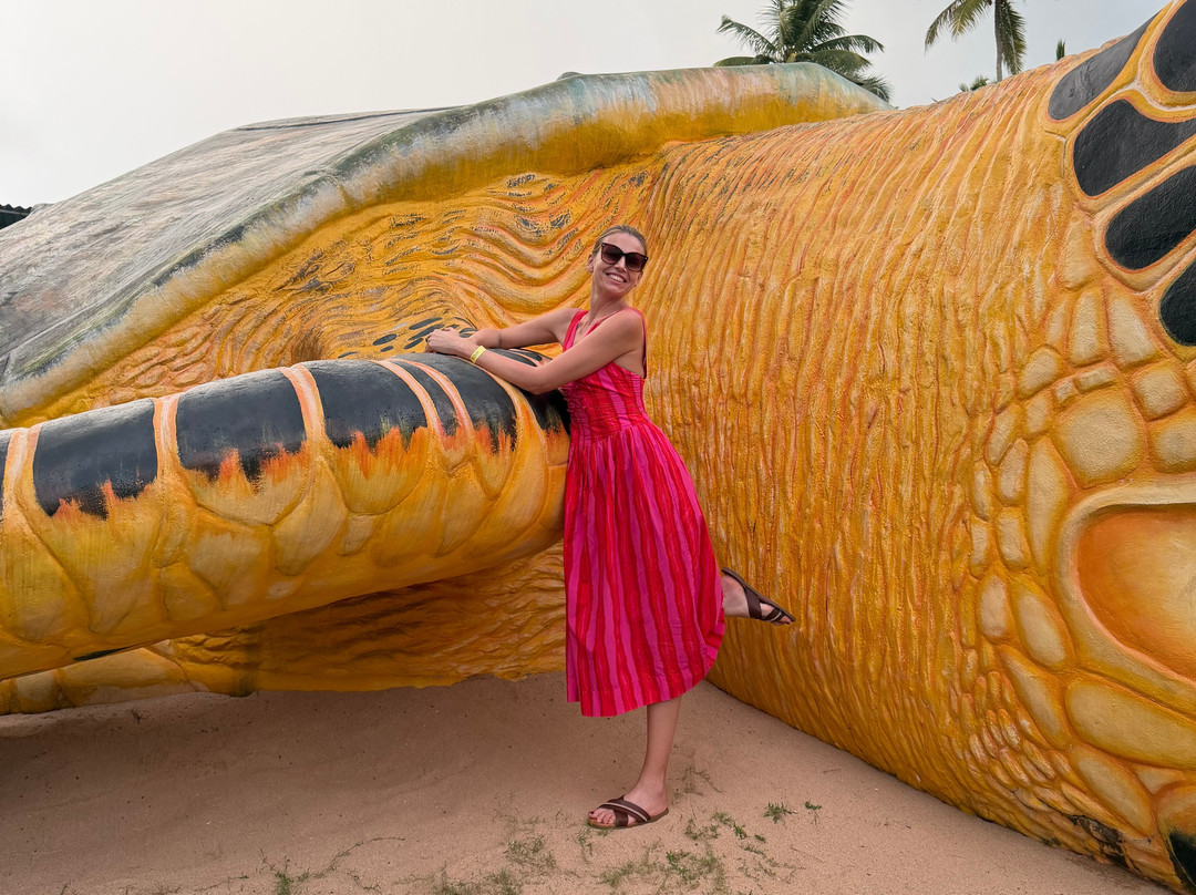 Ahungalla Sea Turtles Conservation And Research Center-亚洪加拉必去景点