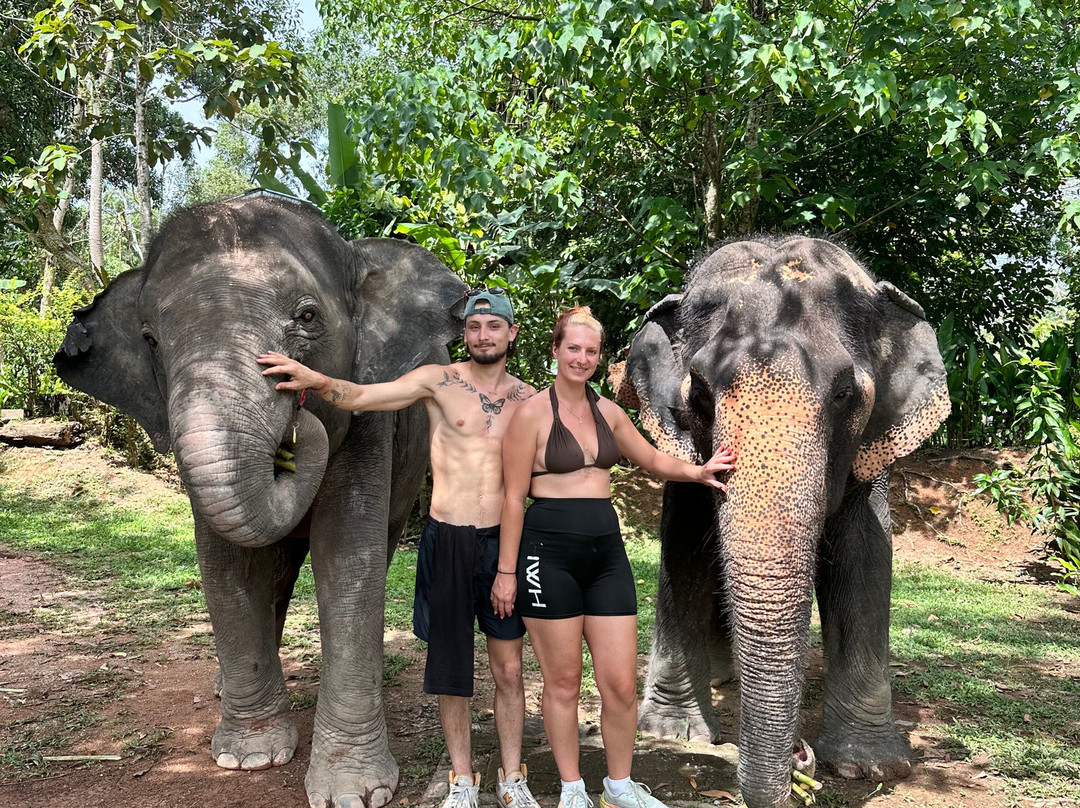 The Lake Phuket Elephant Home-Thep Krasatti必去景点