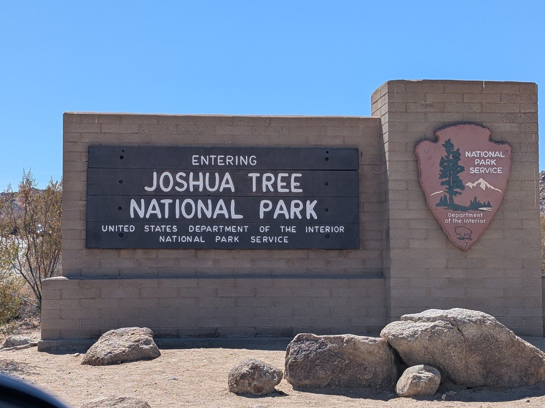 Joshua Tree National Park-约书亚树必去景点