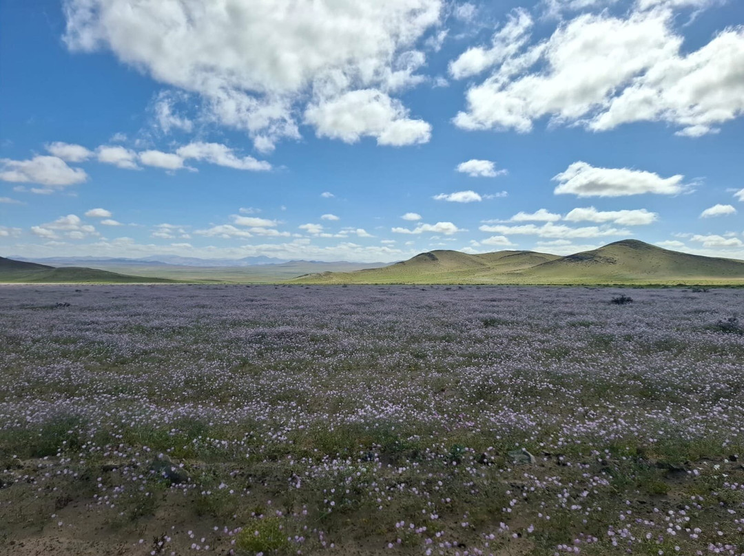 GeoTurismo Atacama-Caldera必去景点