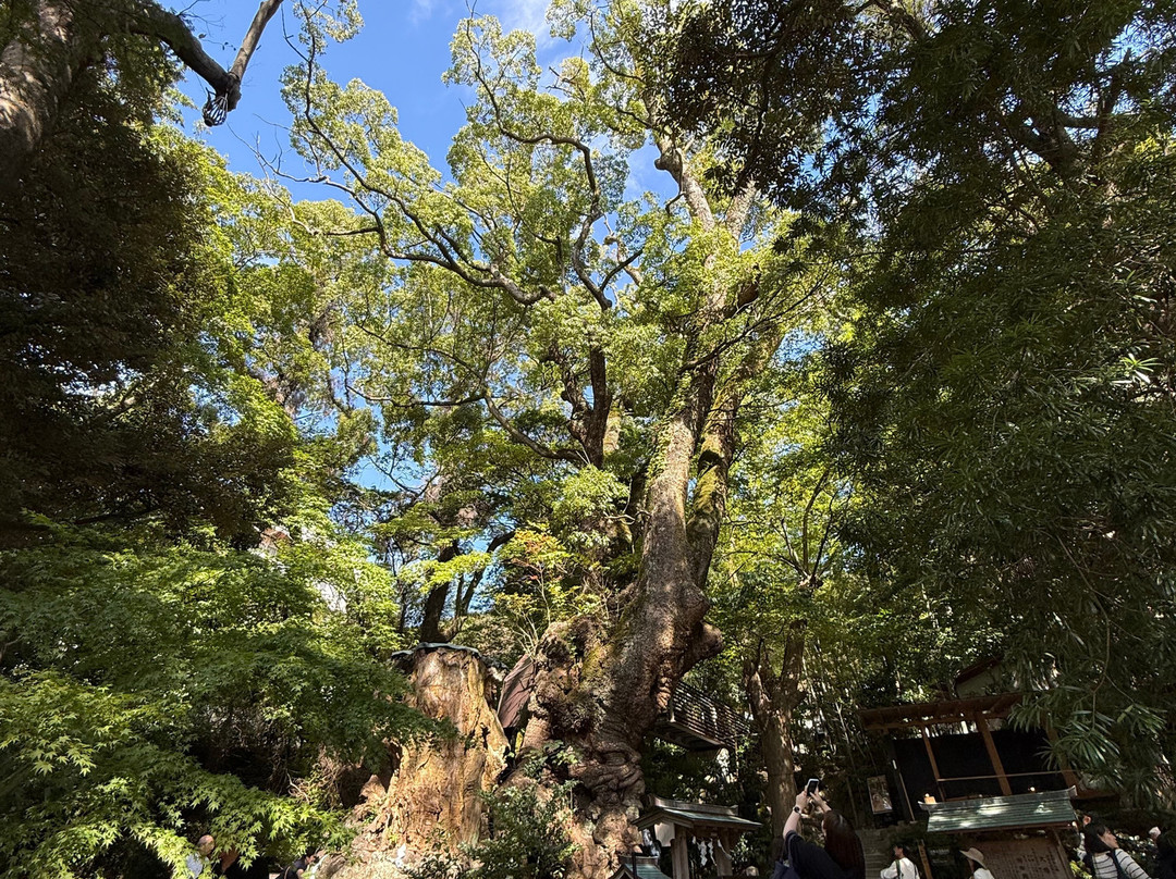 来宫神社-热海市必去景点