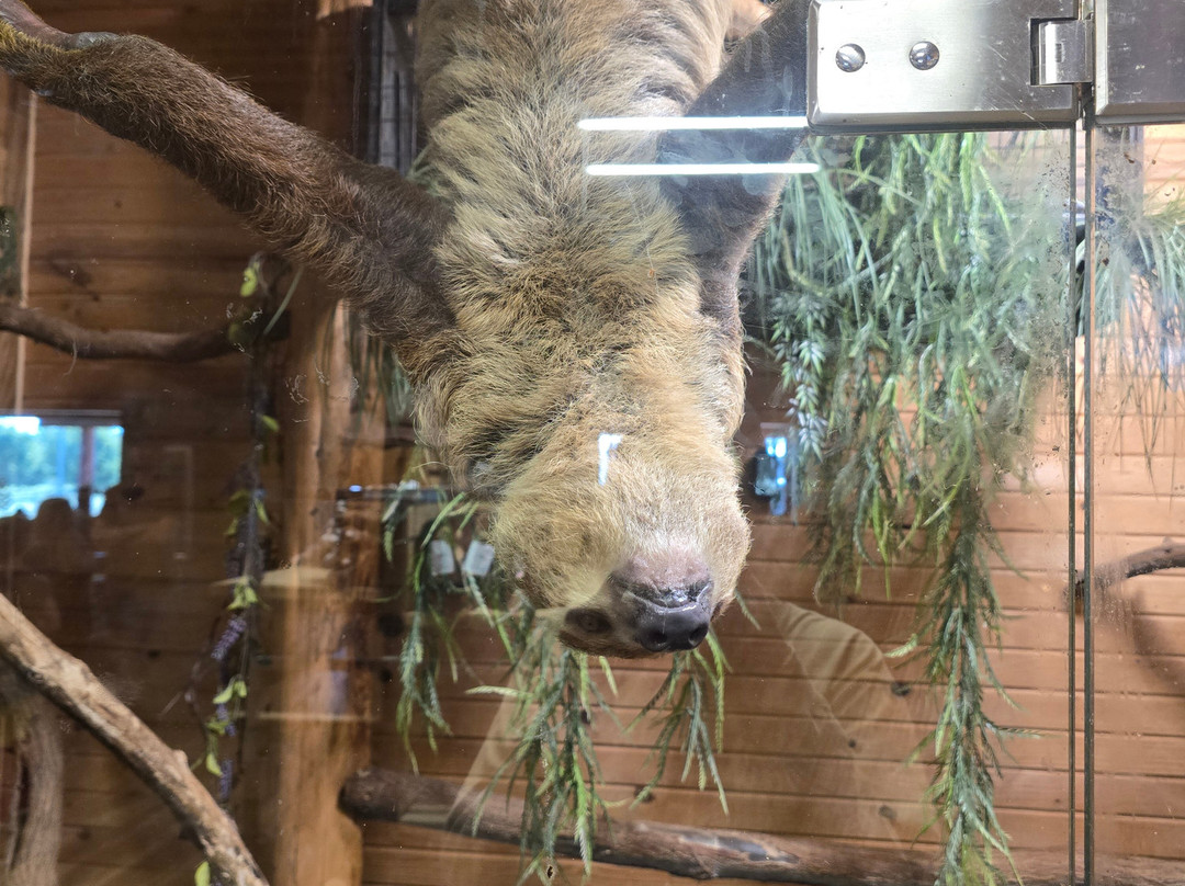 Safari Zoological Park-Caney必去景点