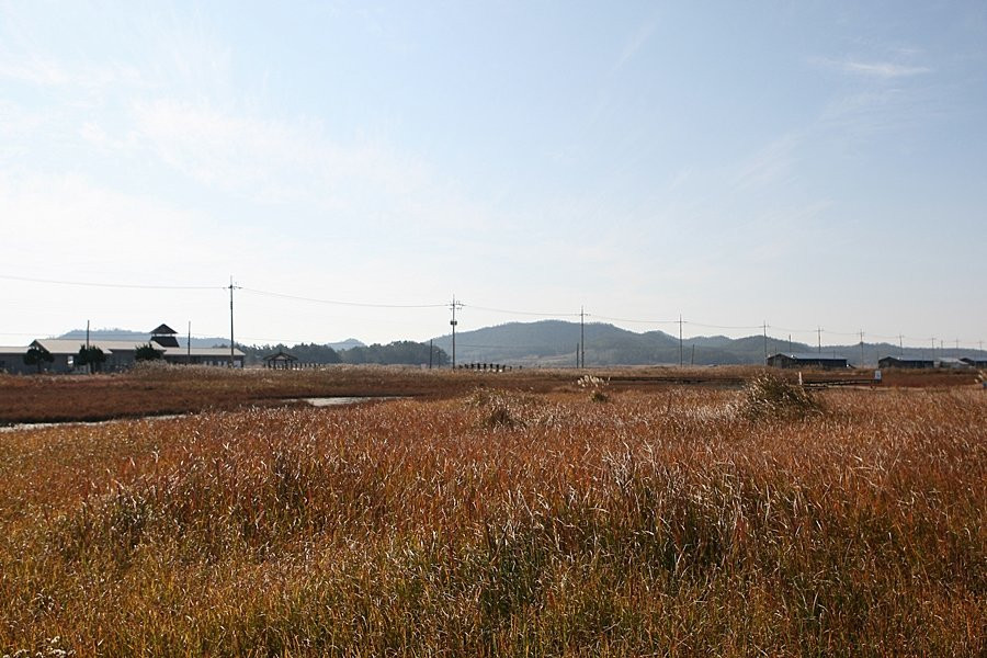 Taepyeong Yeomsaeng Botanical Garden-新安郡必去景点