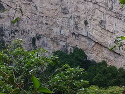 Sima de las Cotorras-恰帕斯必去景点