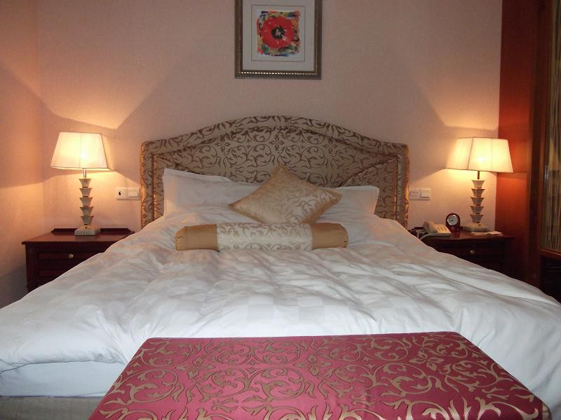 维景国际会议中心主图