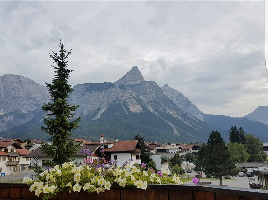 埃尔森林市酒店住宿-Alpin Hotel