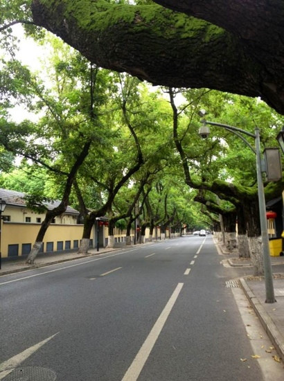 颐和路公馆区-南京市必去景点