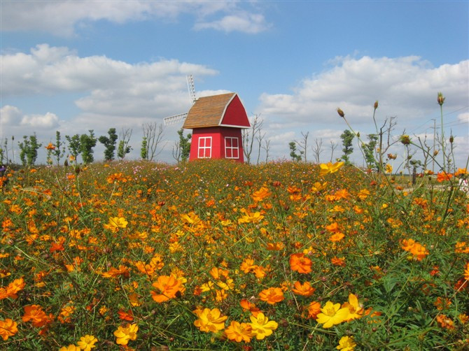 紫海鹭缘浪漫庄园-崇明县必去景点