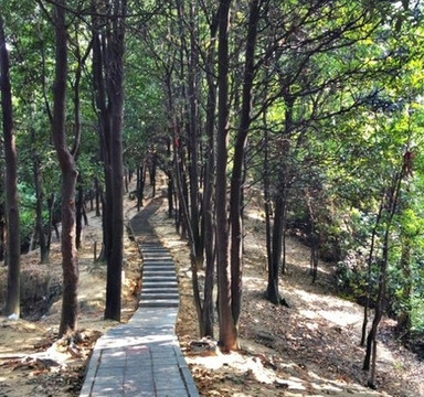 火炉山森林公园-广州市必去景点
