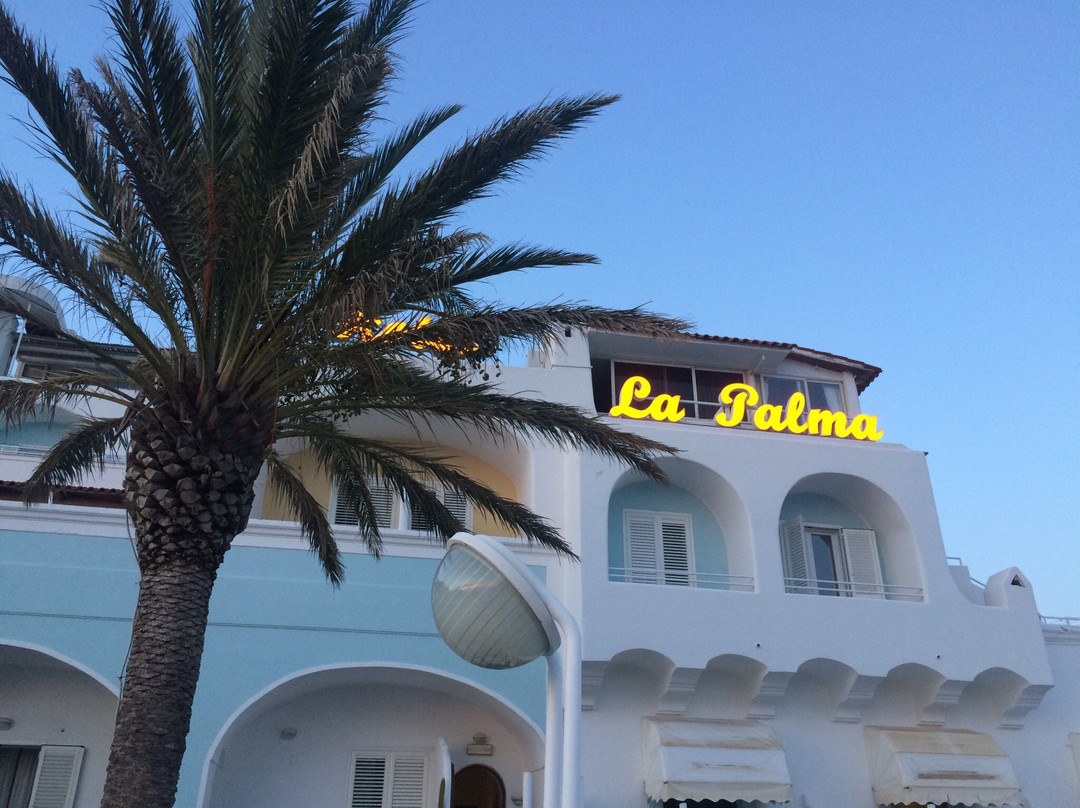 Hotel La Palma