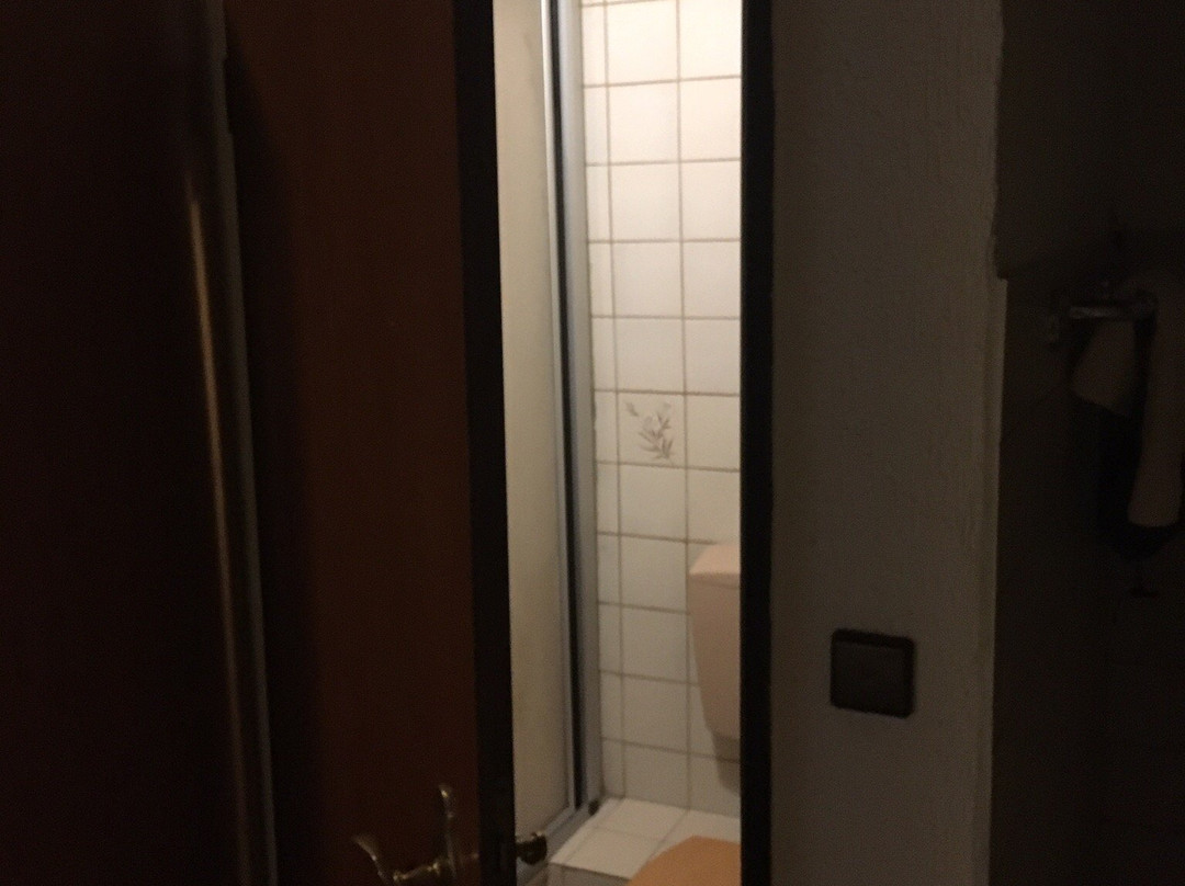 Hochheim am Main酒店住宿-Elim Hotel