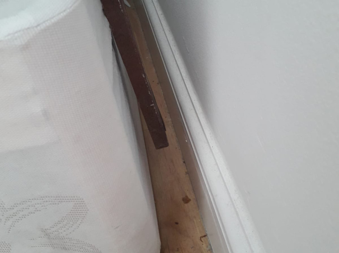 The Lemon Tree Hotel