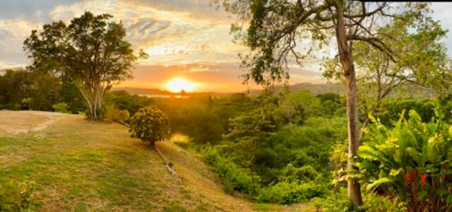 La Puesta del Sol B&B主图