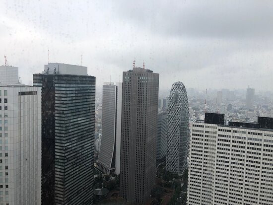 东京都政府办公楼景点图片