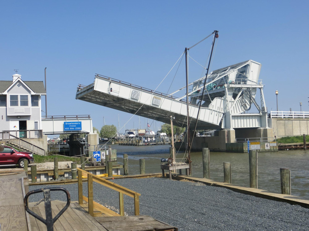 Phillips Wharf Environmental Center景点图片