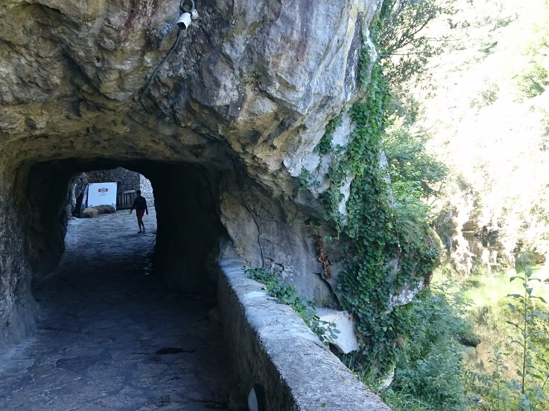 Fundacion Cabrales Cueva Exposicion Queso Cabrales景点图片