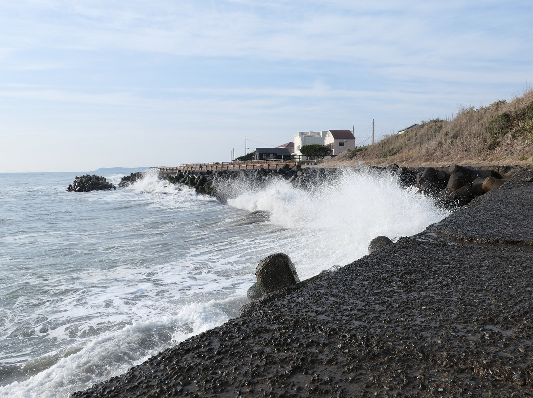 Taito Seaside Plant Community Land-夷隅市必去景点
