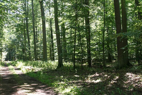 Sauener Wald-Rietz-Neuendorf必去景点