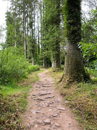 Ballyhoura Walking Trails景点图片