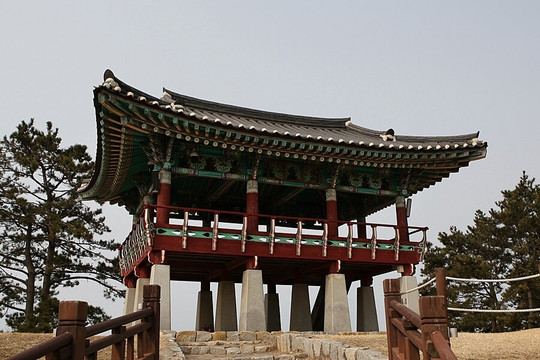 Seocheon Maryang-ri Camellia Forest