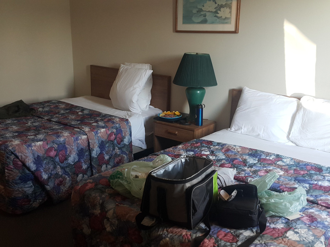 Skye Lodge