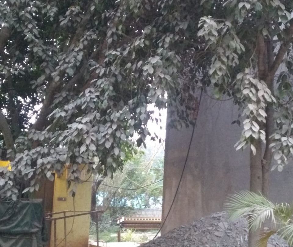 Whistling Woodzs Resort主图