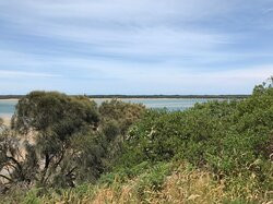 Screw Creek Townsend Bluff Estuary Walk景点图片