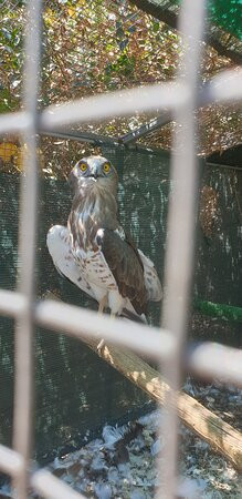 Museo di Storia Naturale del Salento-Calimera必去景点
