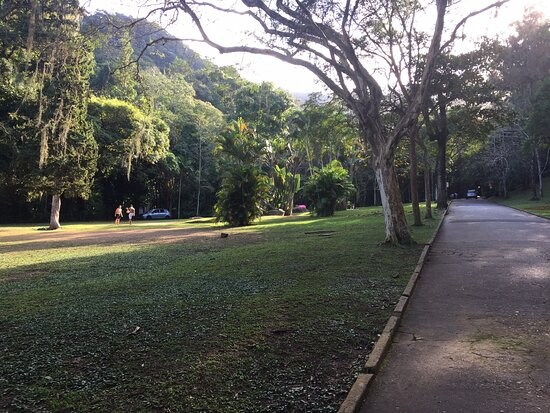 Parque Natural Municipal Da Cidade景点图片