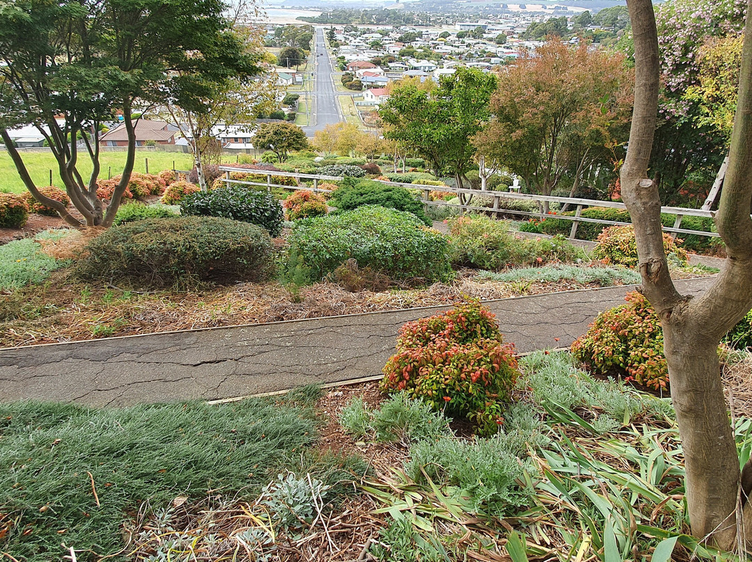 Zigzag Gardens景点图片
