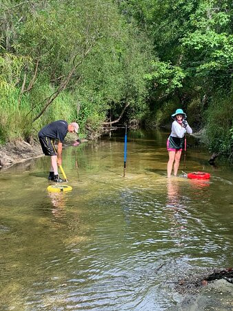 Fossil Funatics-达文波特必去景点