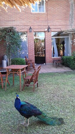 Hosteria El Abuelo-家庭/游戏区