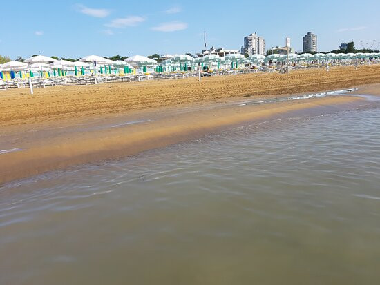Spiaggia di Lignano Pineta景点图片