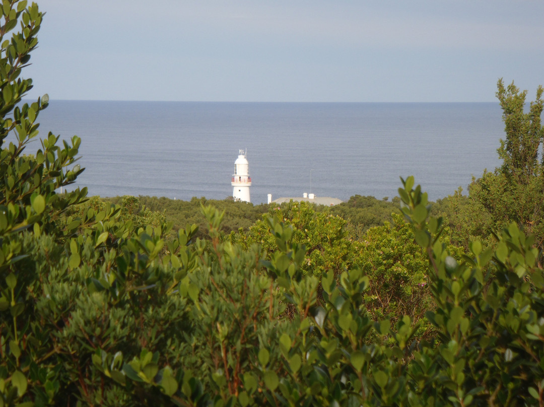 Cape Otway Light Station Lookout景点图片