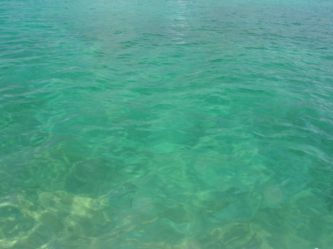 Spiaggia Delle Vacche-Baia Sardinia必去景点