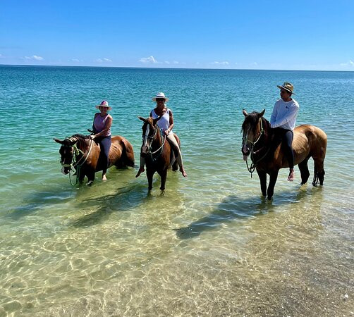 Cuadra San Alberto-Los Barriles必去景点