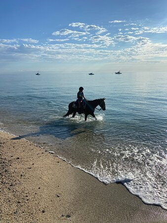 Cuadra San Alberto-Los Barriles必去景点