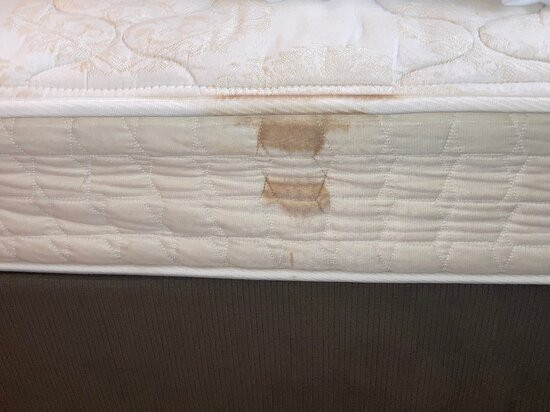 Microtel Inn & Suites by Wyndham Wilson主图