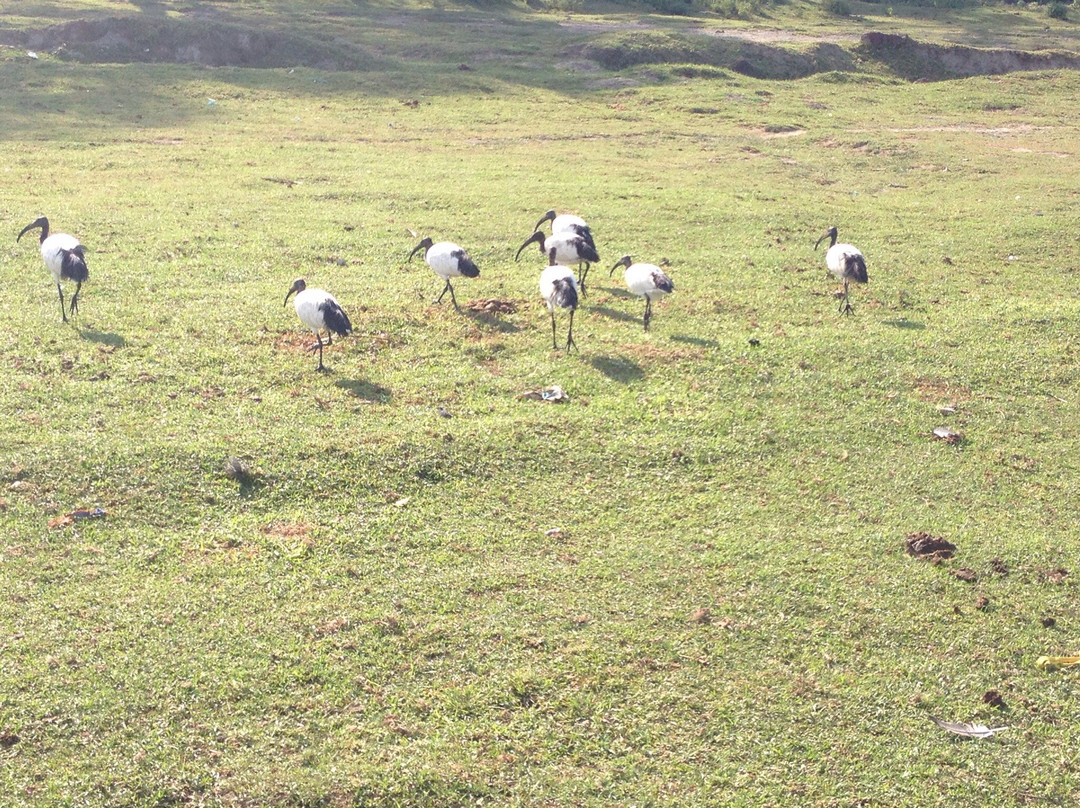 Zebra Guest House主图