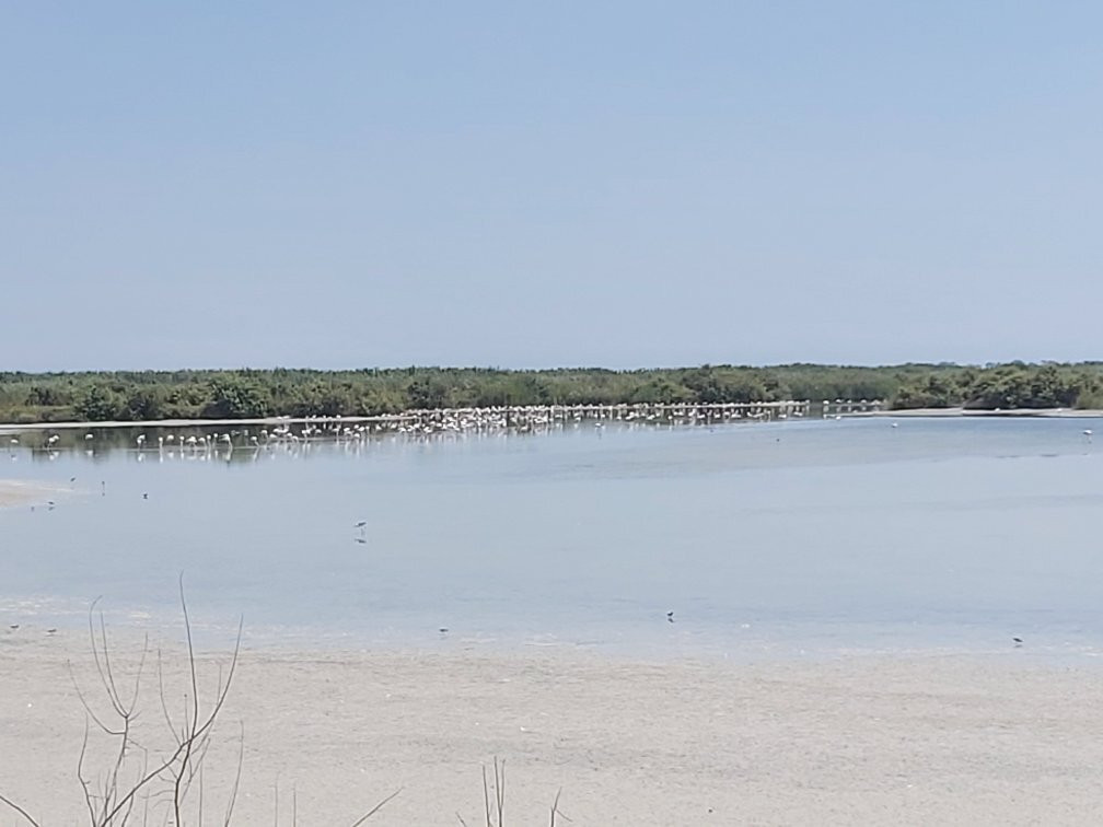 Parque Natural el Hondo-Crevillente必去景点