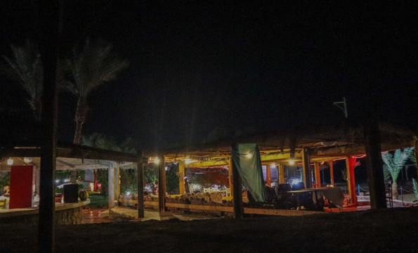 Mermaid Camp