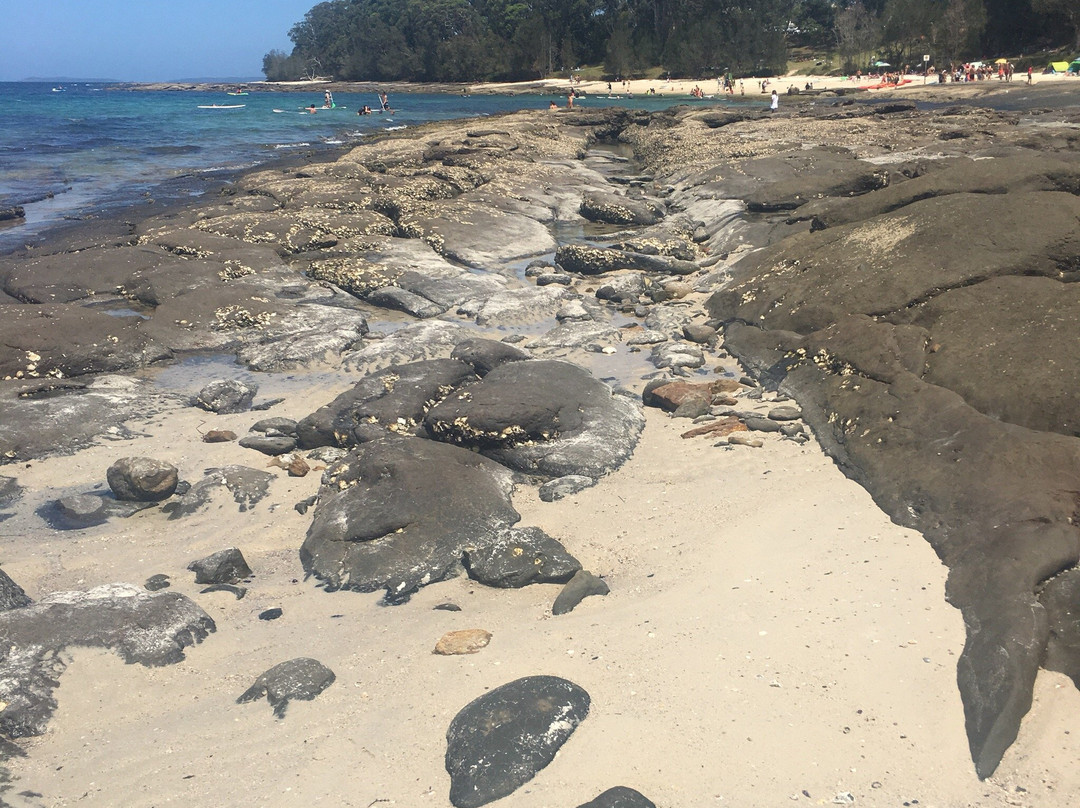 杰维斯湾汽车旅馆主图