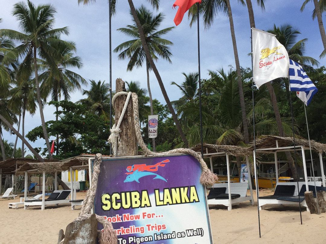 Scuba Lanka-Uppuveli必去景点