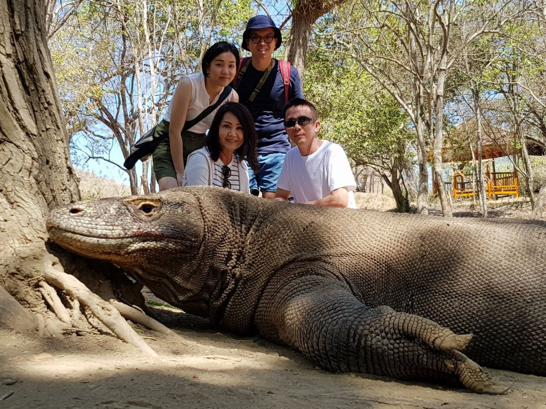 Boat Charter Komodo景点图片