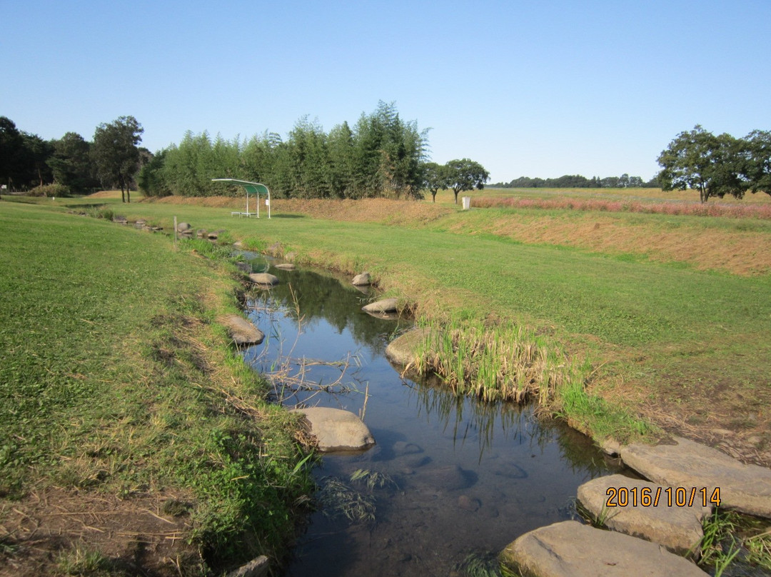 盐谷郡旅游攻略图片